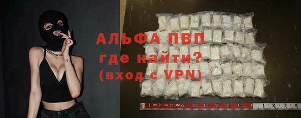 метадон Богданович