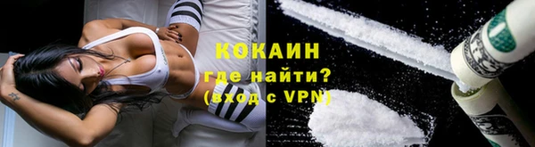 метадон Богданович