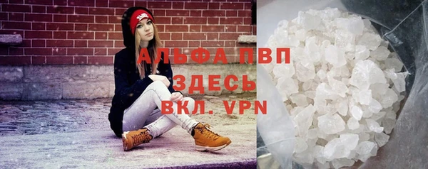 метадон Богданович