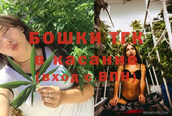 меф Богородицк
