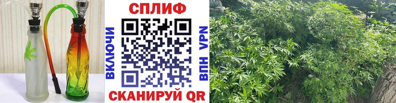 купить наркоту Белорецк Бошки Шишки Amnesia